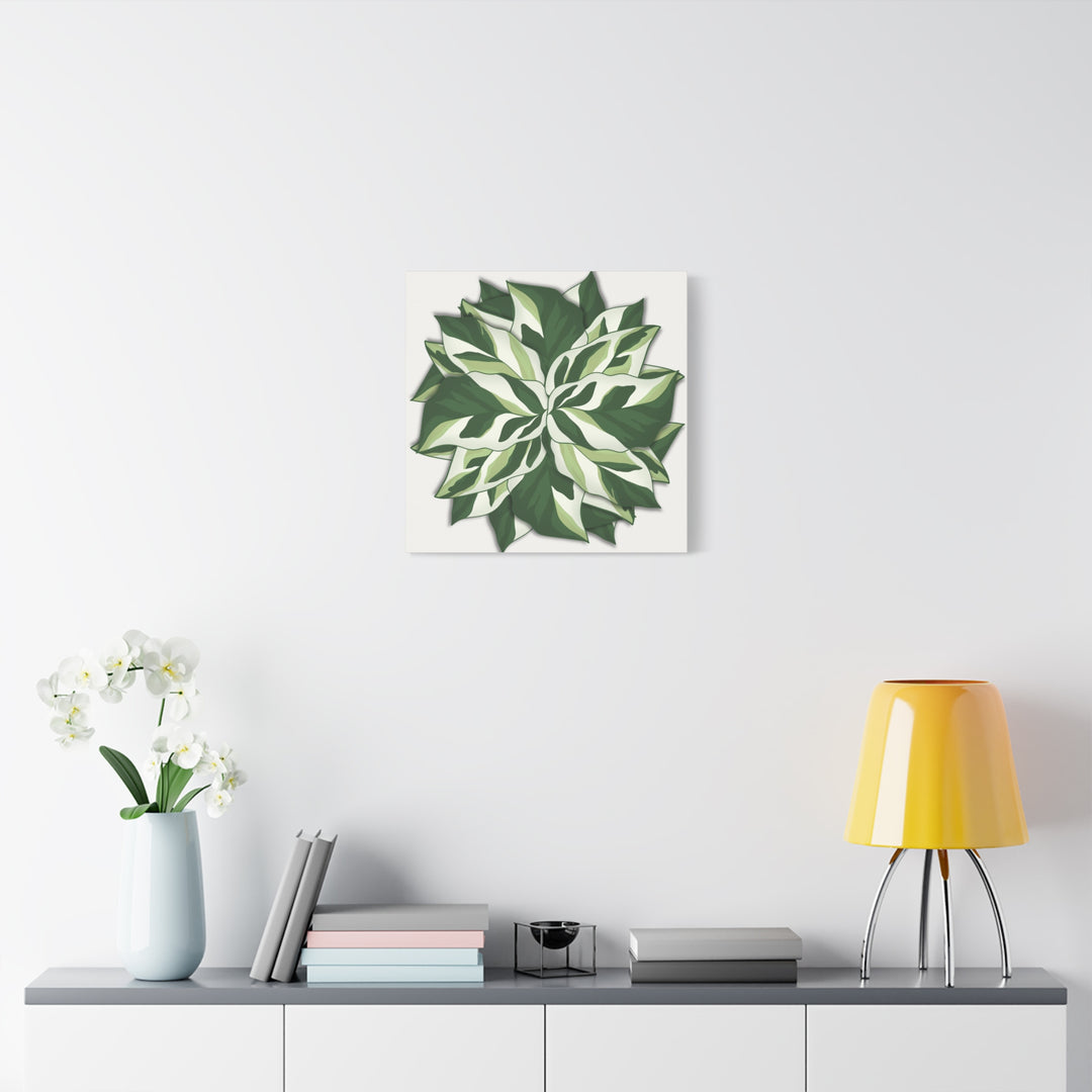 Calathea White Fusion Canvas Botanical Art Print On Stretched Cotton Canvas For Indoor Wall Decor