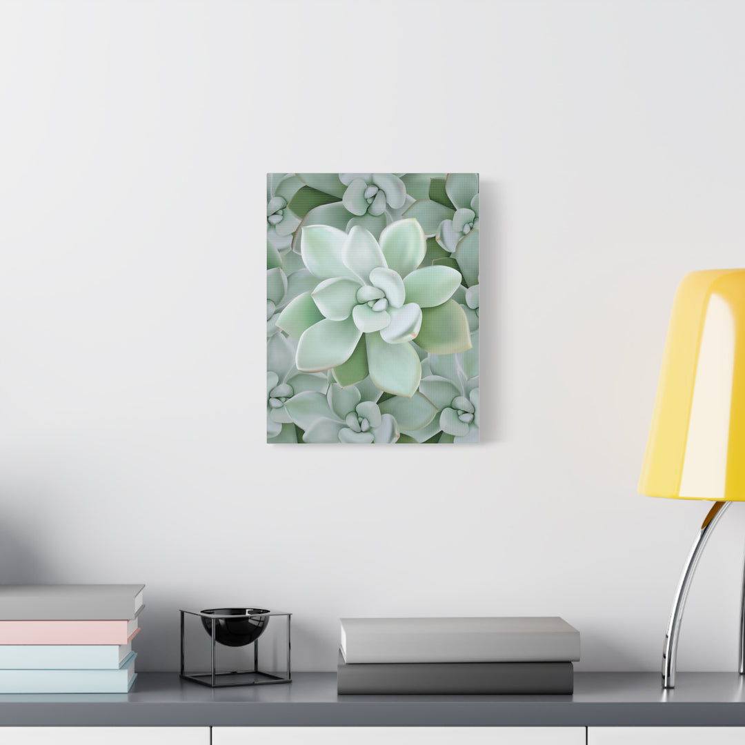 Pachyveria Haagei Succulent Pattern Canvas Art for Modern Home Decor 16x20 Matte Print