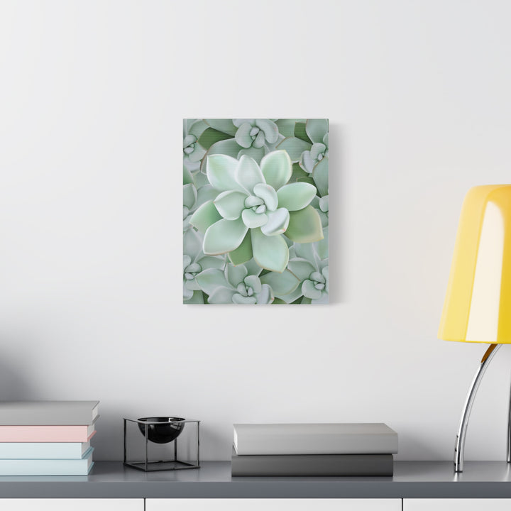 Pachyveria Haagei Succulent Pattern Canvas Art for Modern Home Decor 16x20 Matte Print