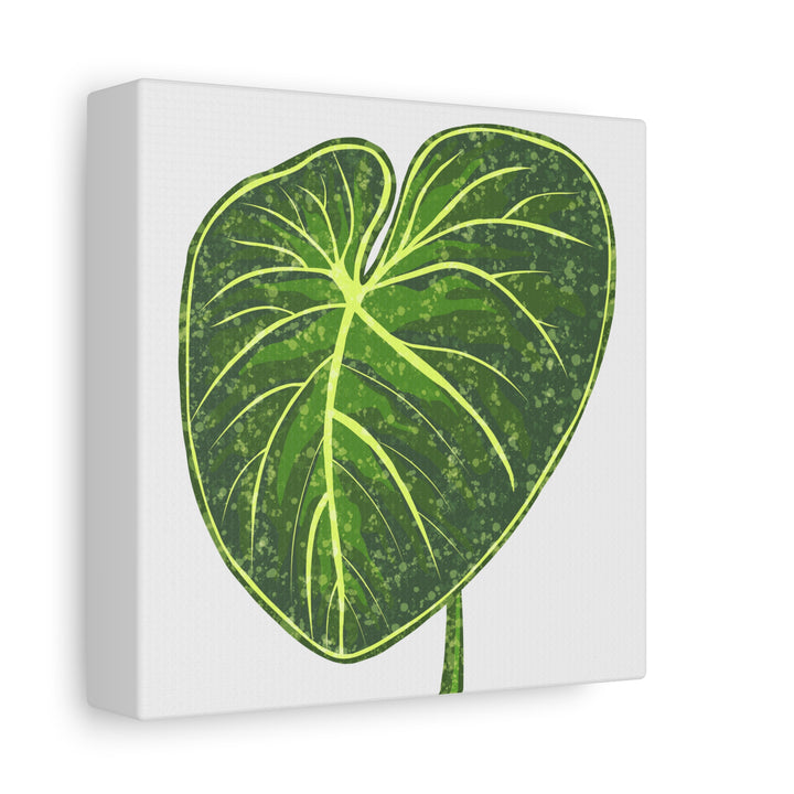 Philodendron Gloriosum Canvas Print Stretched Wall Art Botanical Leaf Print Matte Finish Gallery Wrapped Canvas