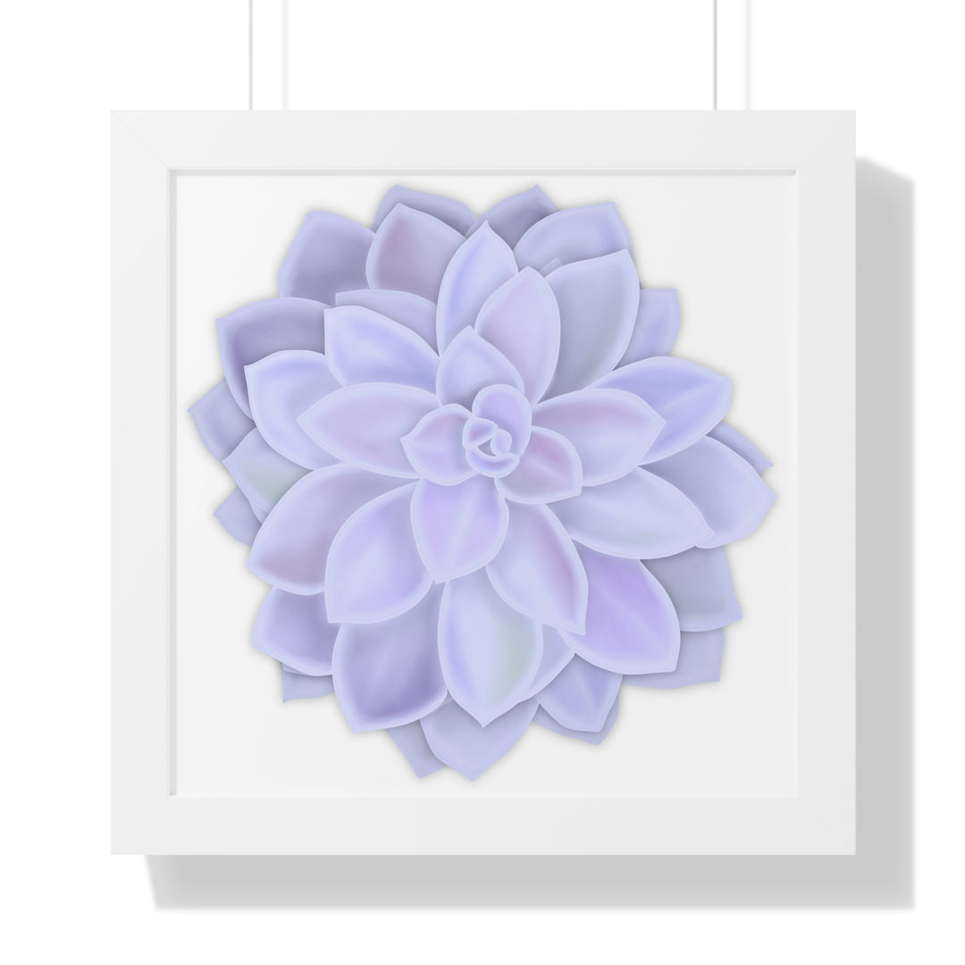 Graptopetalum Murasaki Succulent Framed Print – Botanical Wall Art - The Potted Pixel