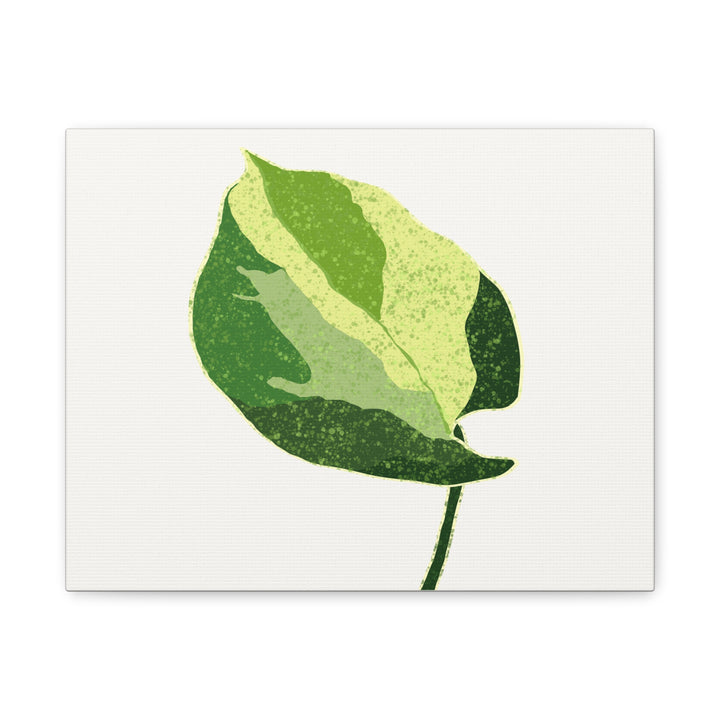 Manjula Pothos Botanical Canvas Print Matte Finish Stretched Canvas Wall Art 1.25 Inch Depth
