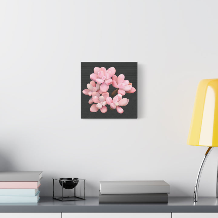 Pink Moonstone Canvas Print – Botanical Wall Art