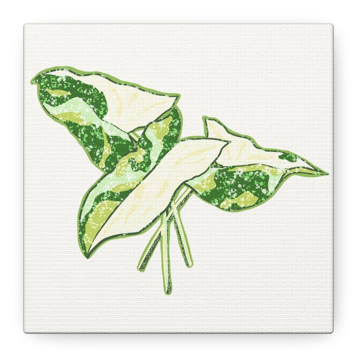 Marble Syngonium Canvas Botanical Wall Art Stretched Print On Durable Cotton Canvas Matte Finish