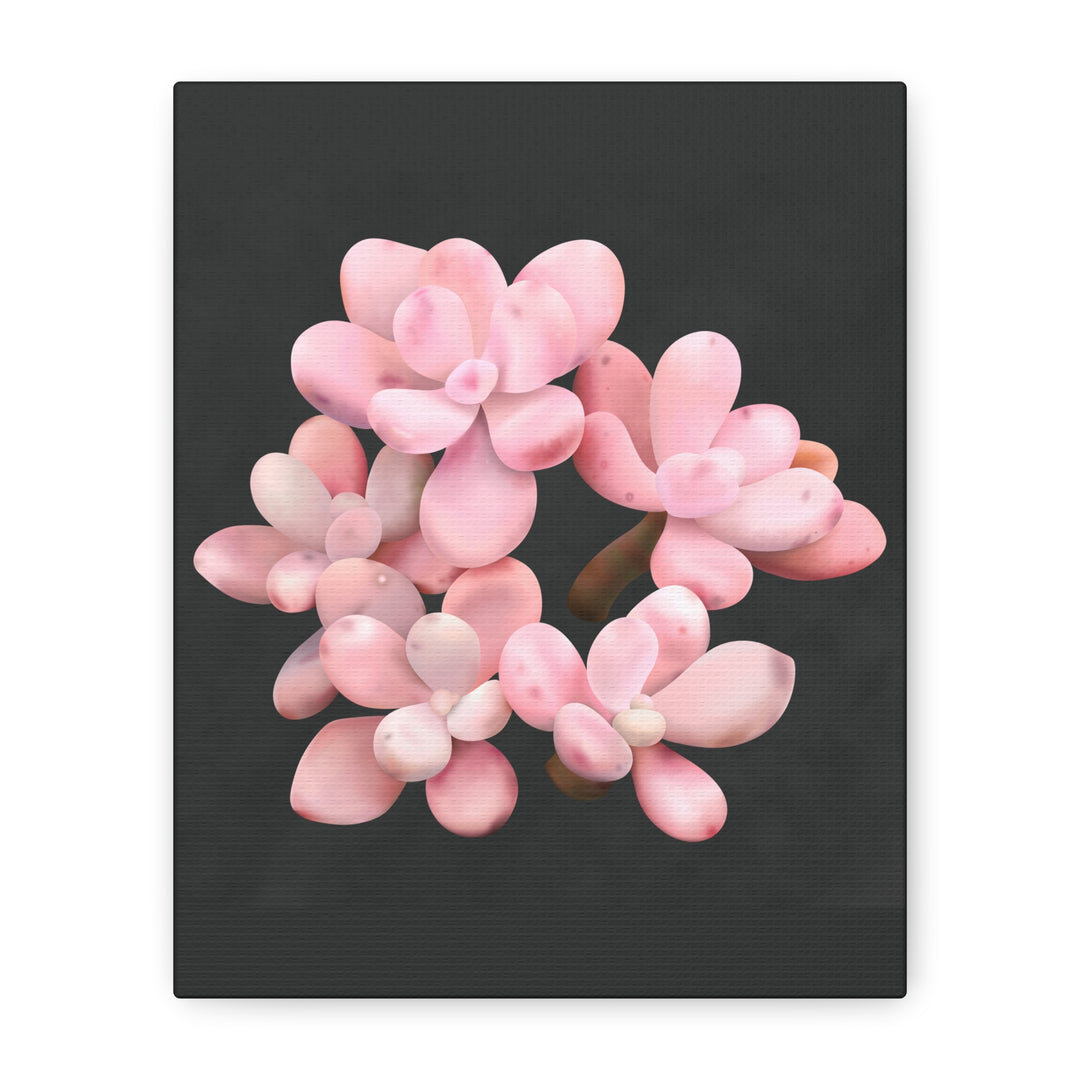 Pink Moonstone Canvas Print – Botanical Wall Art