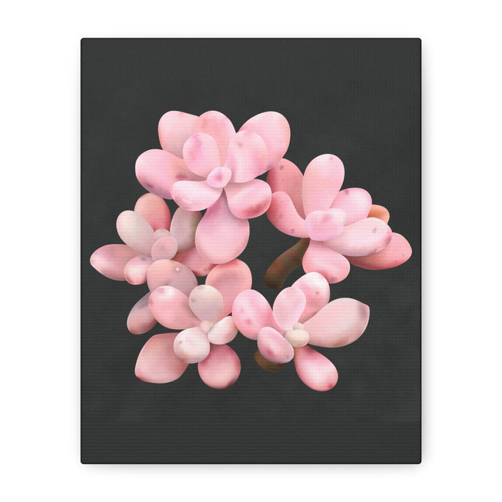 Pink Moonstone Canvas Print – Botanical Wall Art
