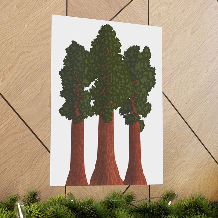 Giant Sequoias Print – Unframed Wall Art