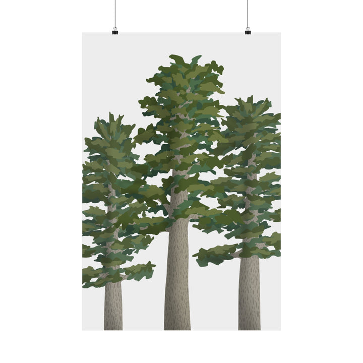 Sitka Spruce Print – Unframed Wall Art