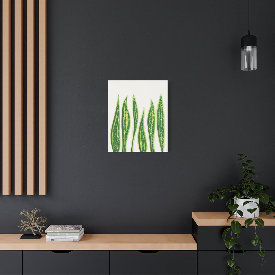 Snake Plant Canvas Print Matte 1.25 Inch Stretch Canvas Wall Art For Living Room Decor