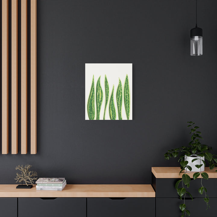 Snake Plant Canvas Print Matte 1.25 Inch Stretch Canvas Wall Art For Living Room Decor