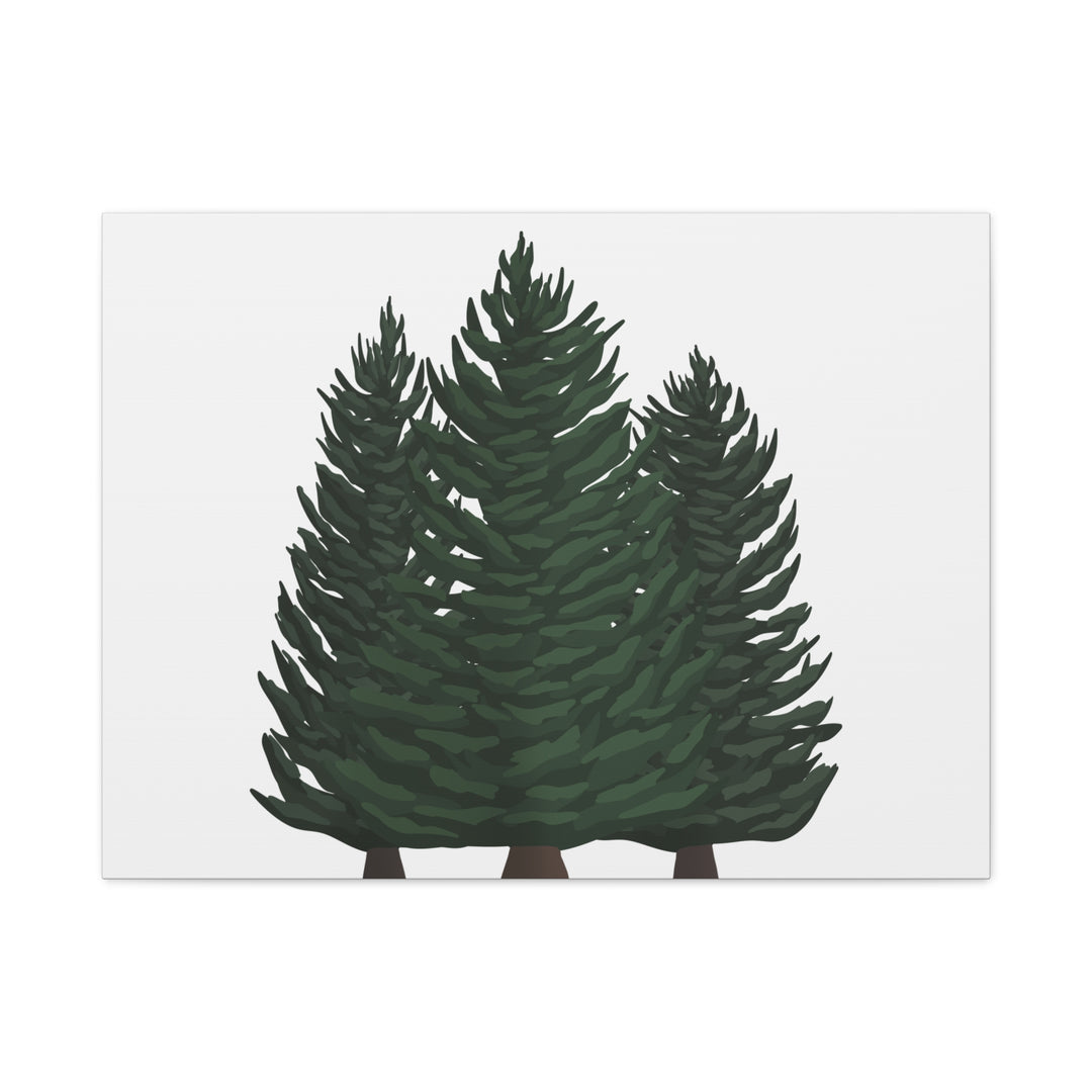 Douglas Fir Canvas Print – Wall Art