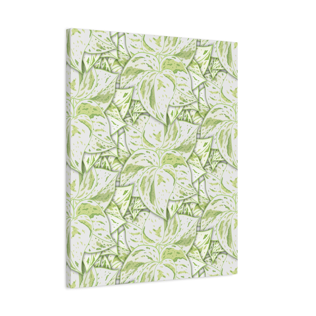 Snow Queen Pothos Canvas Print With Variegated White Leaves In Matte Finish For Modern Home Decor