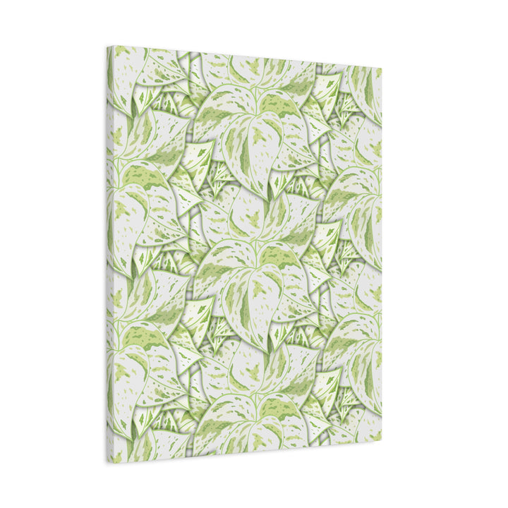 Snow Queen Pothos Canvas Print With Variegated White Leaves In Matte Finish For Modern Home Decor