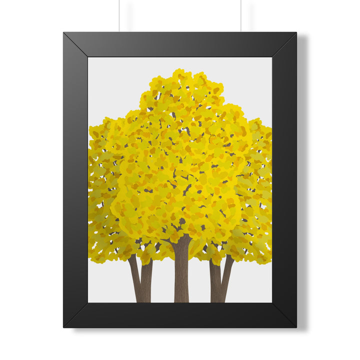 Big Leaf Maple Framed Print – Wall Art