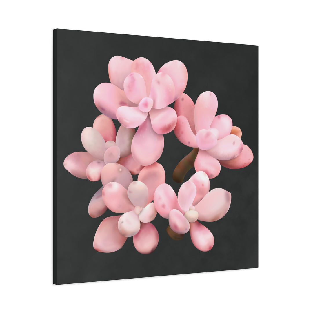 Pink Moonstone Canvas Print – Botanical Wall Art