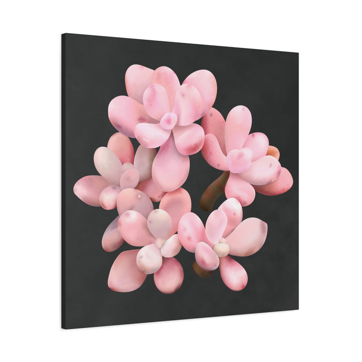 Pink Moonstone Canvas Print – Botanical Wall Art