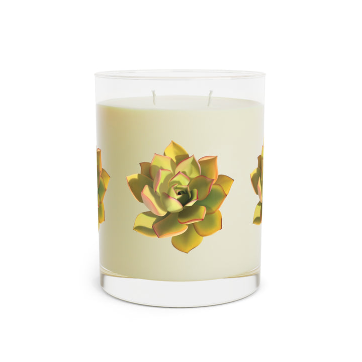 Noble Aeonium Succulent Scented Candle 11oz Three Scent Options White Tea Fig Minted Lavender Sage Ocean Mist Moss