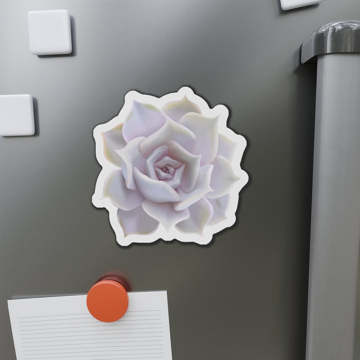 Echeveria Lilacina Succulent Magnet