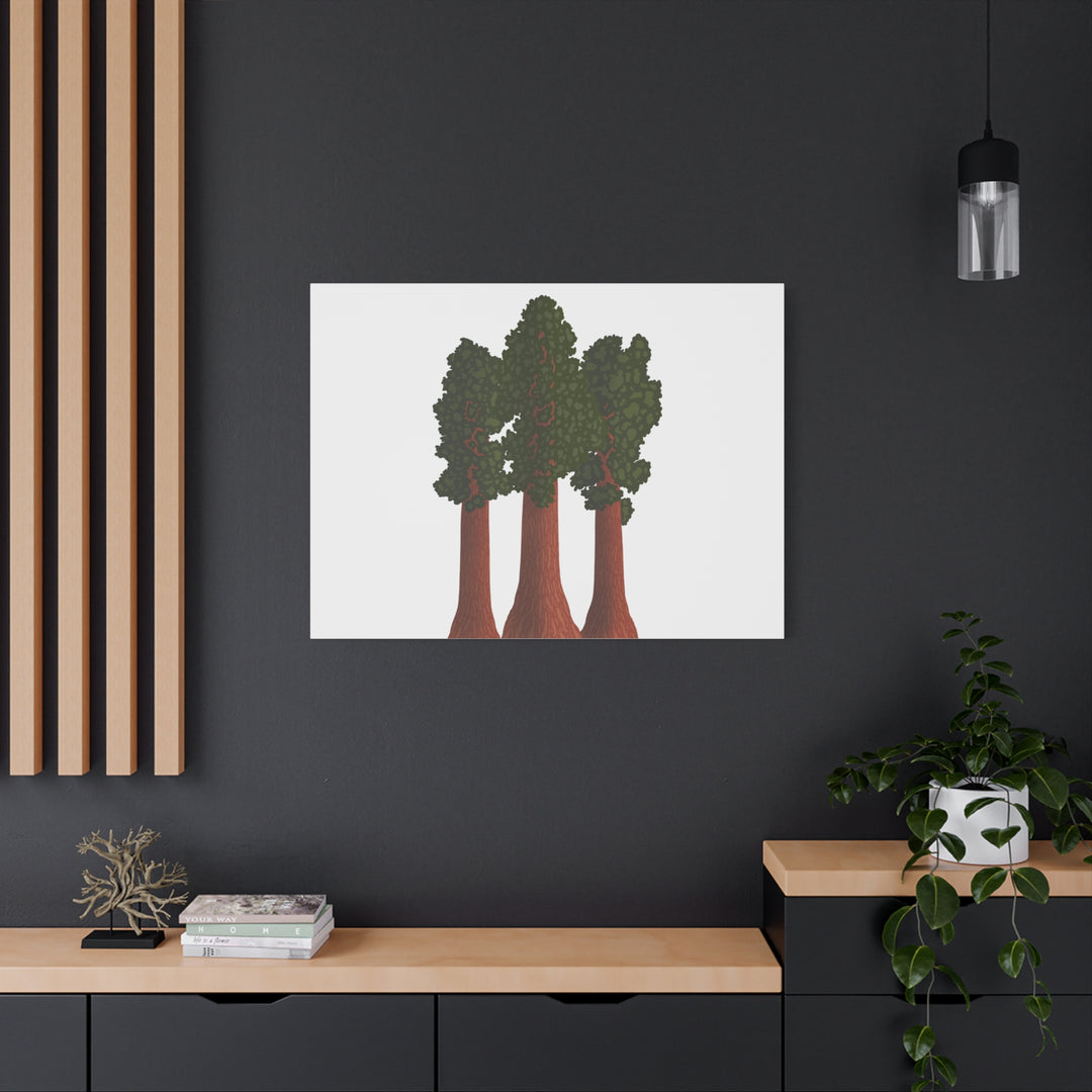 Giant Sequoias Canvas Print – Wall Art