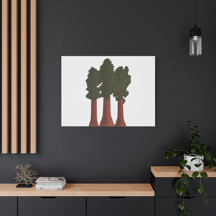 Giant Sequoias Canvas Print – Wall Art
