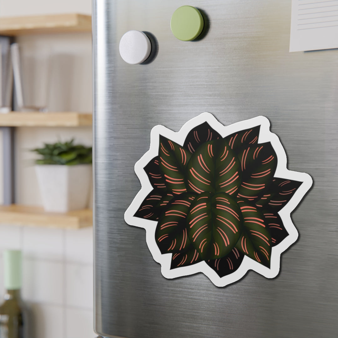 Calathea Pinstripe Magnet