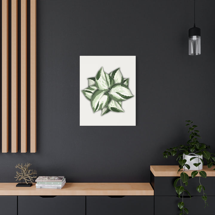 Manjula Pothos Canvas Print Stretched Matte Canvas Wall Art For Living Room And Office