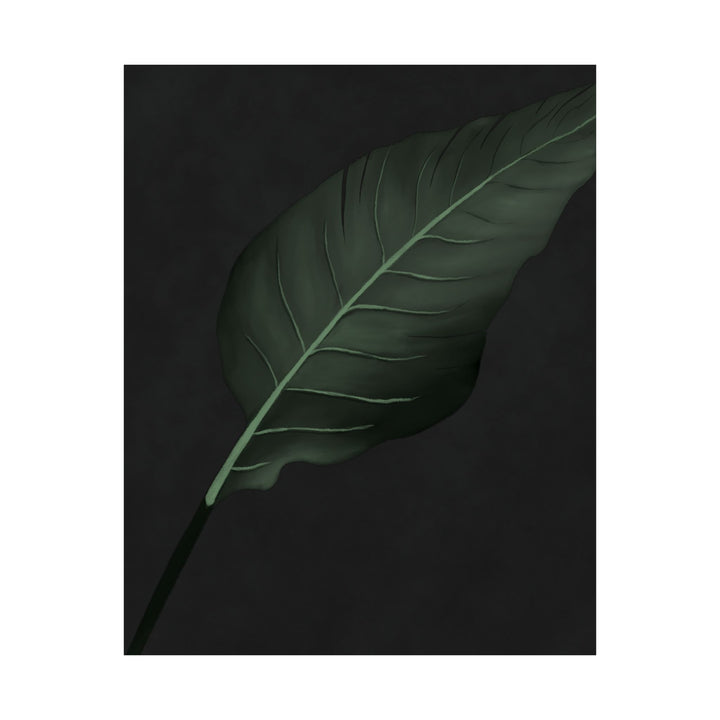 Bird of Paradise Botanical Print – Unframed Wall Art