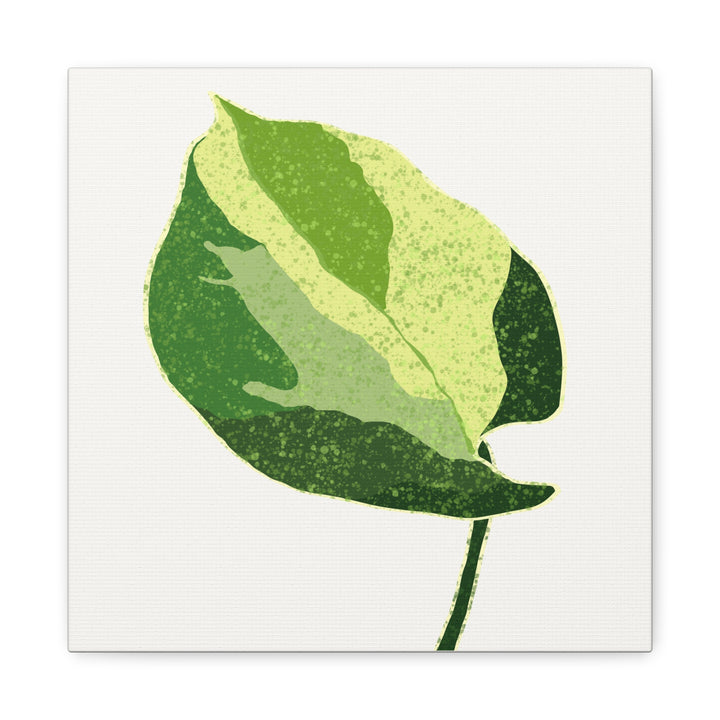 Manjula Pothos Botanical Canvas Print Matte Finish Stretched Canvas Wall Art 1.25 Inch Depth