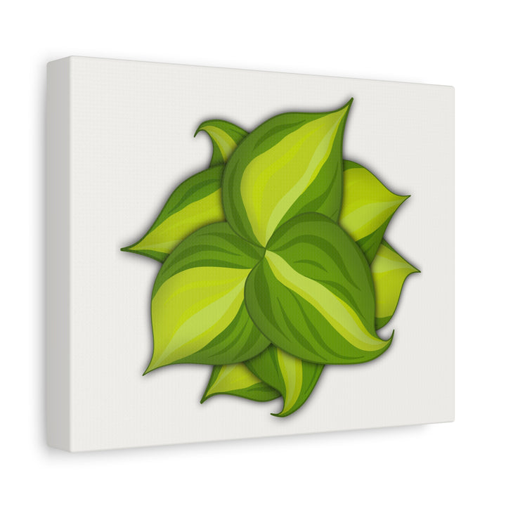 Philodendron Brasil Canvas Print Matte Stretched Canvas Indoor Plant Art For Modern Greenery Decor