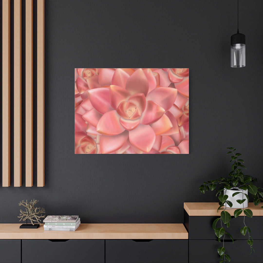 Graptosedum California Sunset Succulent Canvas Print – Botanical Wall Art - The Potted Pixel