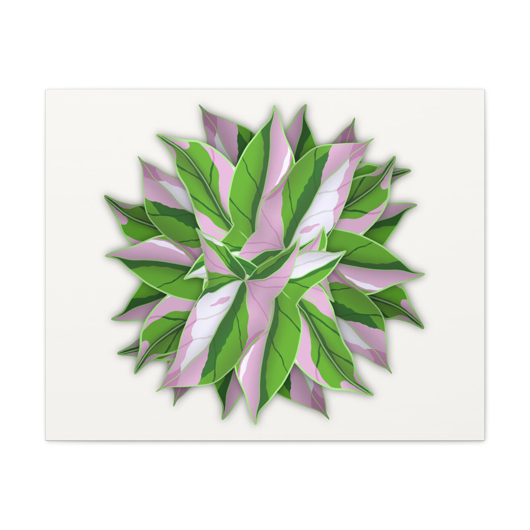 Syngonium Tricolor Canvas Print – Botanical Wall Art - The Potted Pixel