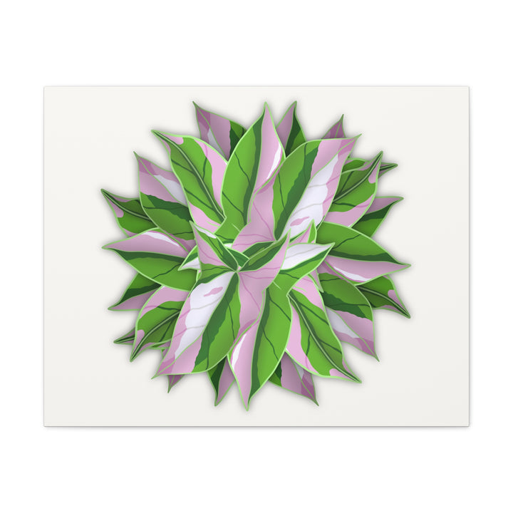 Syngonium Tricolor Canvas Print – Botanical Wall Art - The Potted Pixel