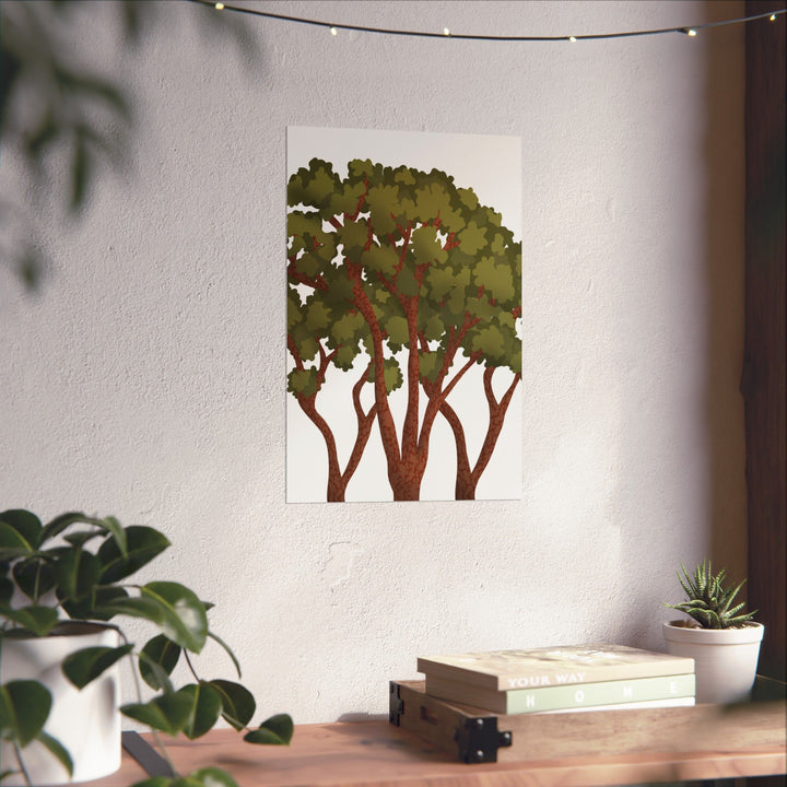 Pacific Madrone Print – Unframed Wall Art