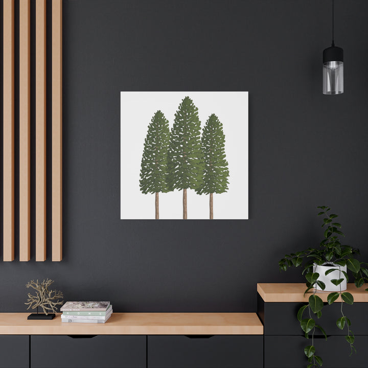 Three Ponderosa Pine Canvas Wall Art Matte Stretched Print Minimalist Forest Landscape Decor