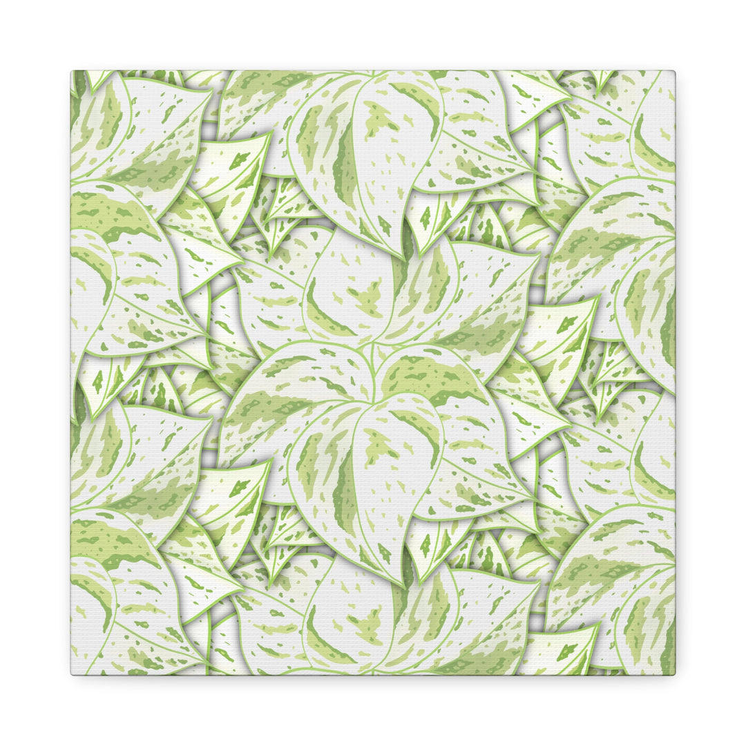 Snow Queen Pothos Canvas Print With Variegated White Leaves In Matte Finish For Modern Home Decor