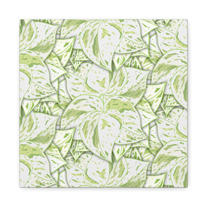 Snow Queen Pothos Canvas Print With Variegated White Leaves In Matte Finish For Modern Home Decor