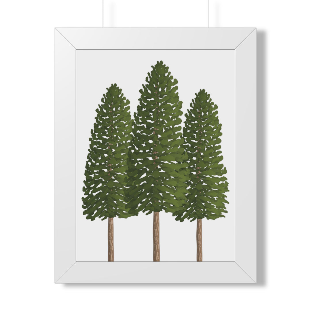 Ponderosa Pine Framed Print – Wall Art