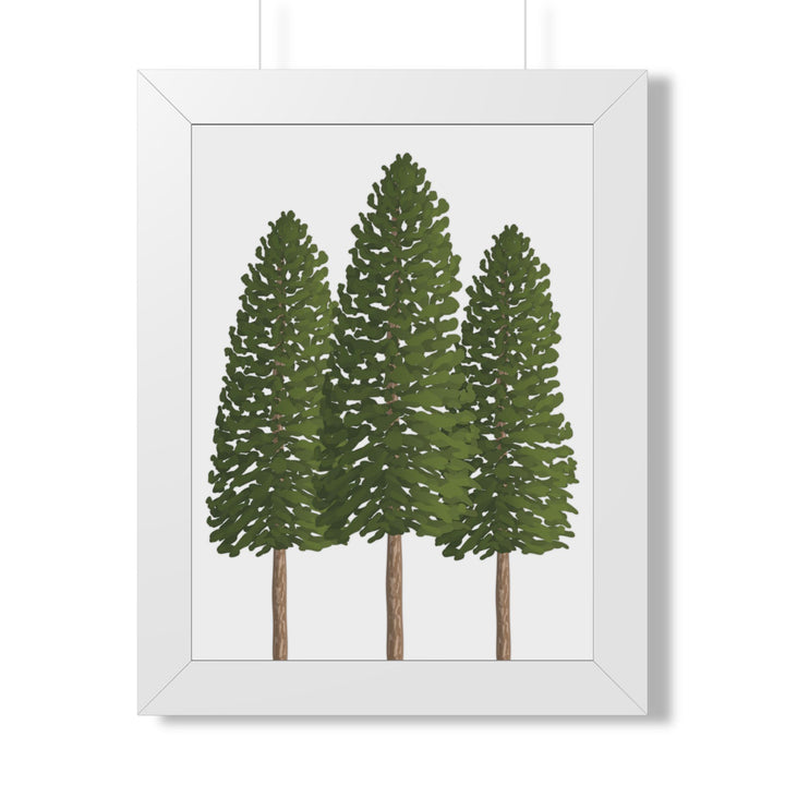 Ponderosa Pine Framed Print – Wall Art