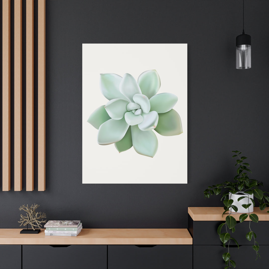 Succulent Canvas Art Pachyveria Haagei Print On Matte Finish Canvas Botanical Wall Decor