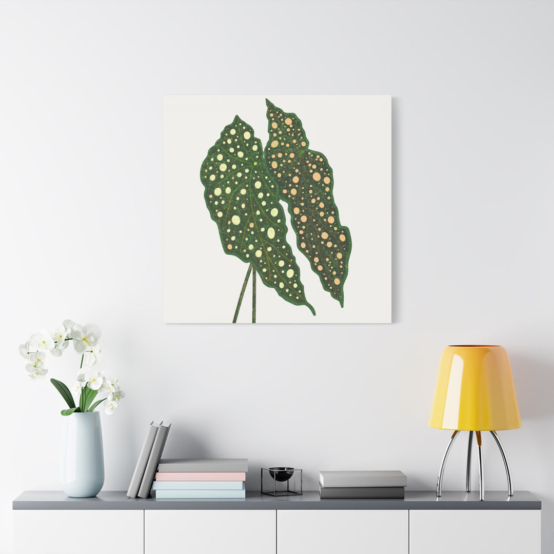 Begonia Maculata Canvas Premium Botanical Wall Art Print On Cotton Canvas With Matte Finish For Indoor Decor