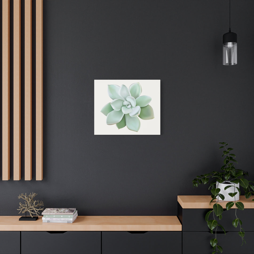 Succulent Canvas Art Pachyveria Haagei Print On Matte Finish Canvas Botanical Wall Decor