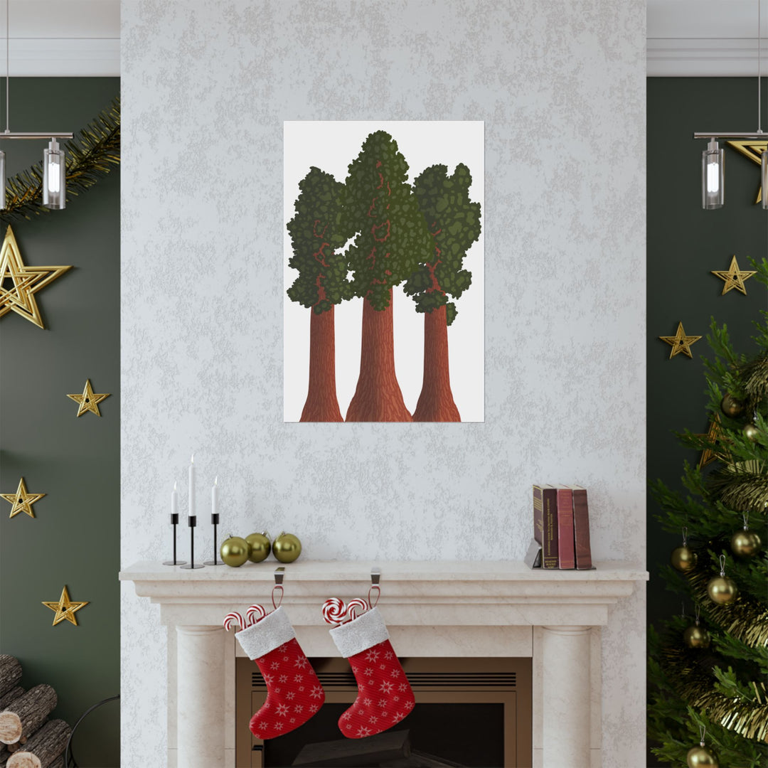 Giant Sequoias Print – Unframed Wall Art