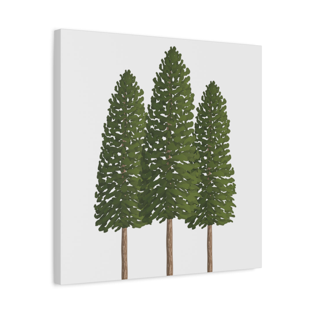 Three Ponderosa Pine Canvas Wall Art Matte Stretched Print Minimalist Forest Landscape Decor