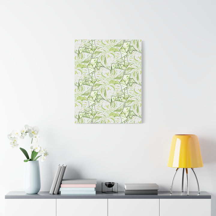 Snow Queen Pothos Canvas Print With Variegated White Leaves In Matte Finish For Modern Home Decor