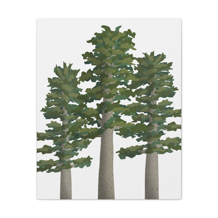 Sitka Spruce Canvas Print – Wall Art