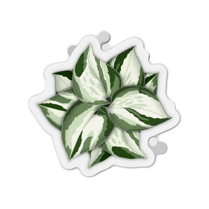 Manjula Pothos Magnet