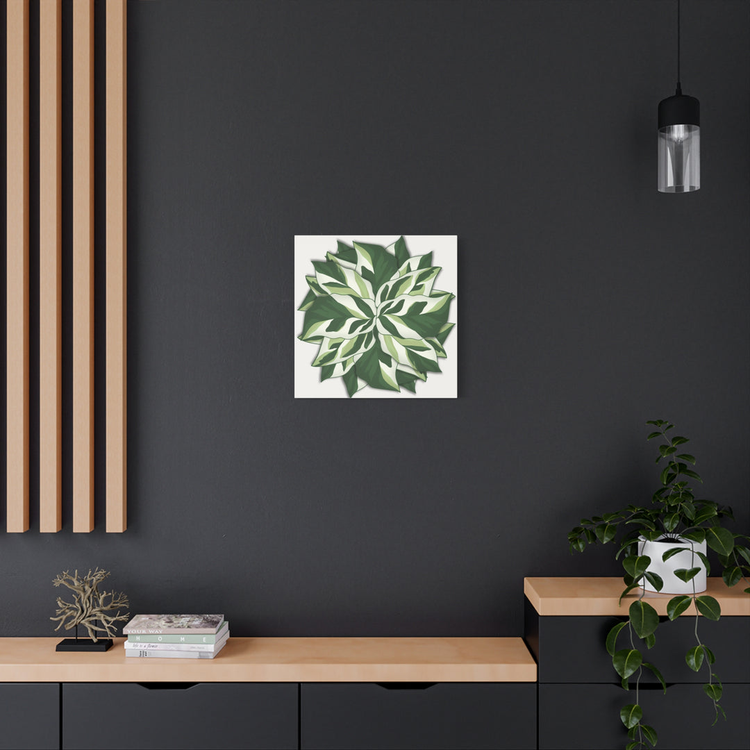 Calathea White Fusion Canvas Botanical Art Print On Stretched Cotton Canvas For Indoor Wall Decor