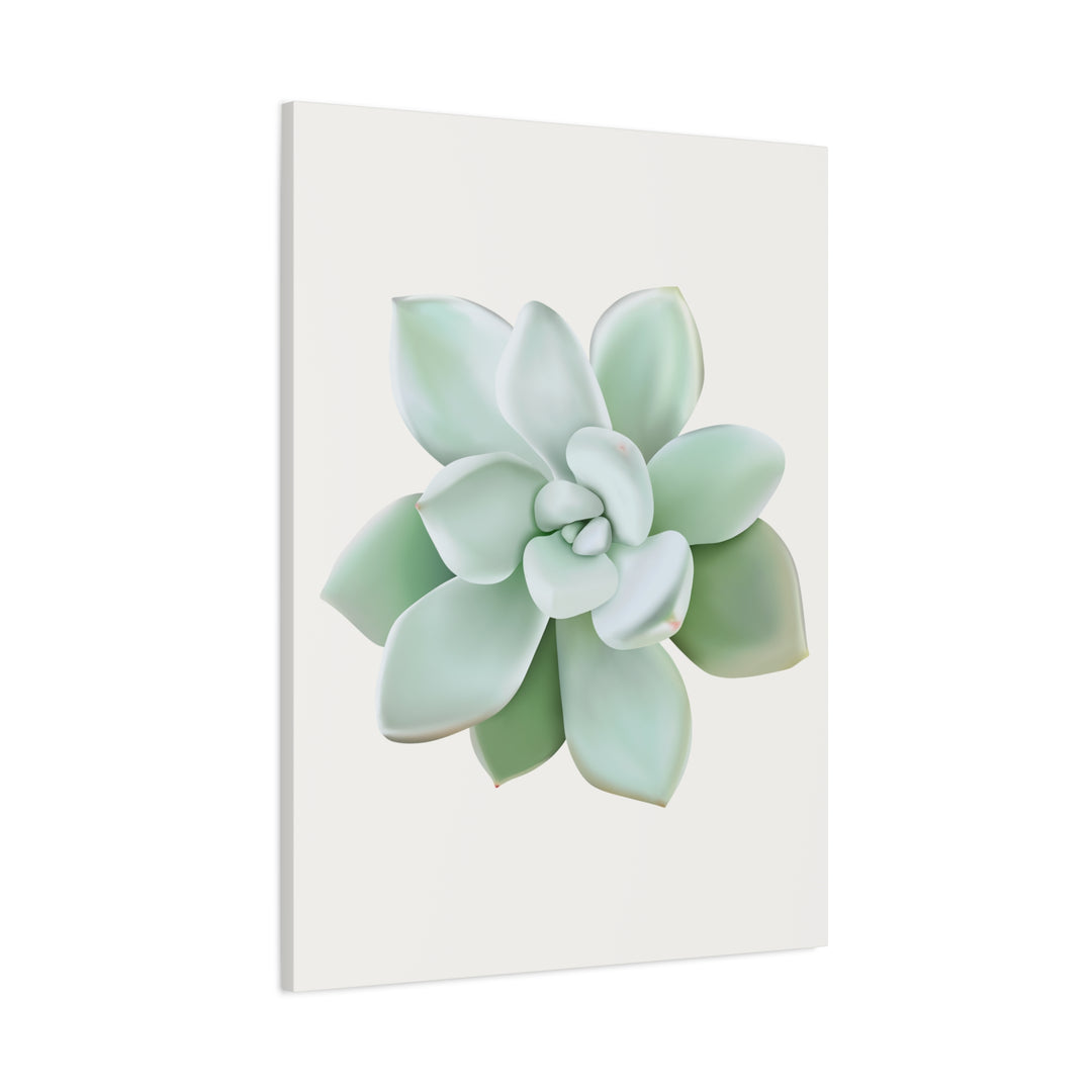 Succulent Canvas Art Pachyveria Haagei Print On Matte Finish Canvas Botanical Wall Decor