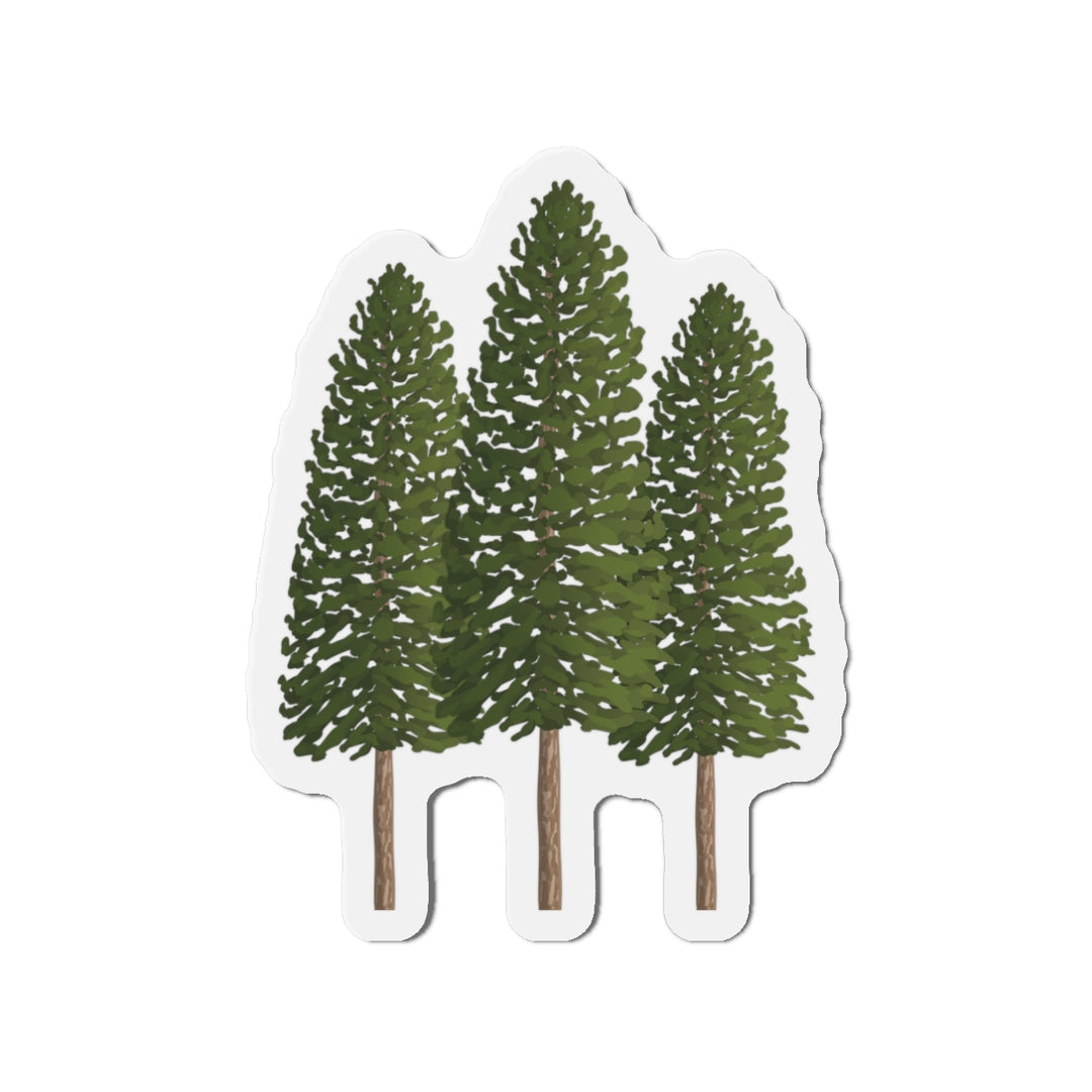 Ponderosa Pines Magnet