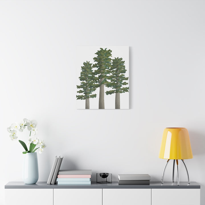 Sitka Spruce Canvas Print – Wall Art